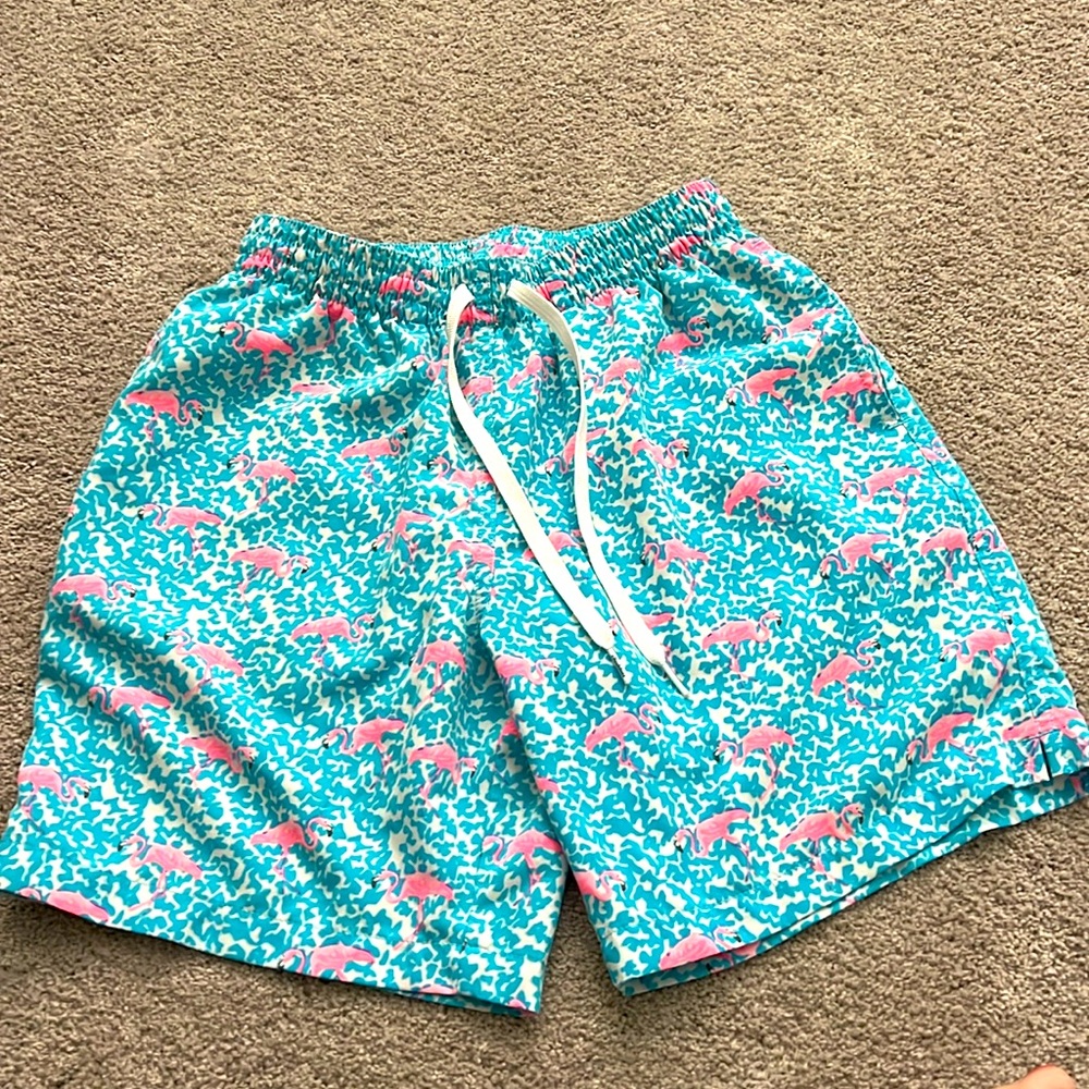 Men’s Chubbies Classic Swim Trunk
